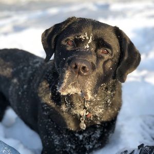 Meet your Posher, Theresa